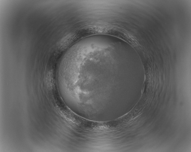 X0000058780594200509301117