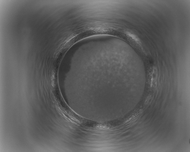 X0000058780596200509301117