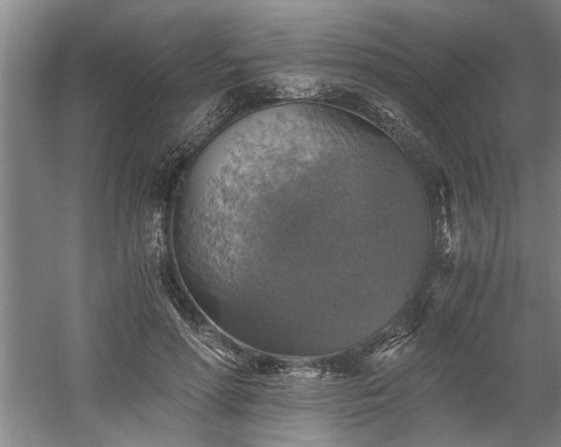 X0000058780598200509301117