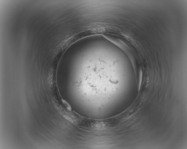 X0000058780600200509301117