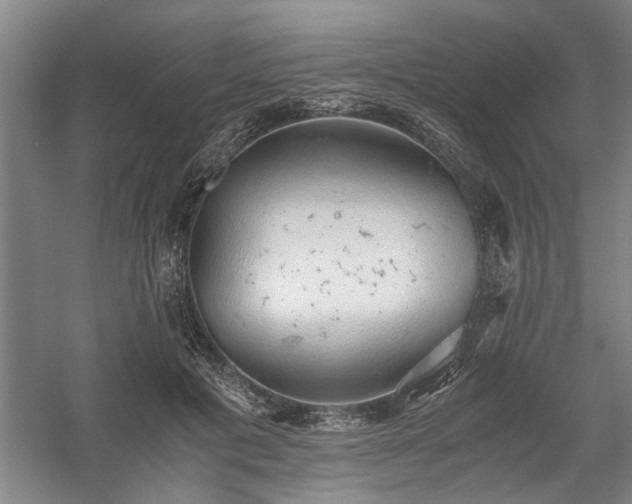 X0000058780601200509301117