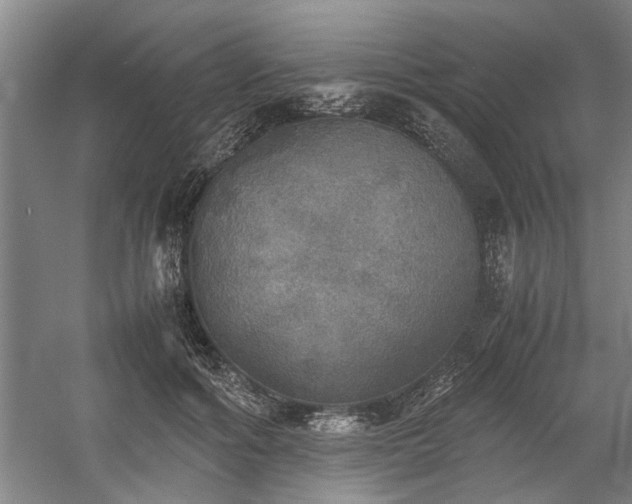 X0000058780602200509301117