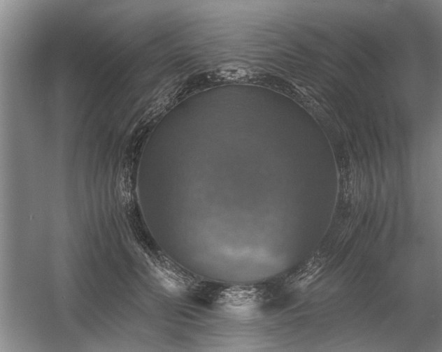 X0000058780606200509301116