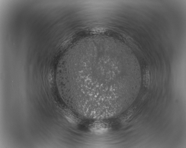 X0000058780608200509301116