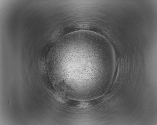 X0000058780609200509301116