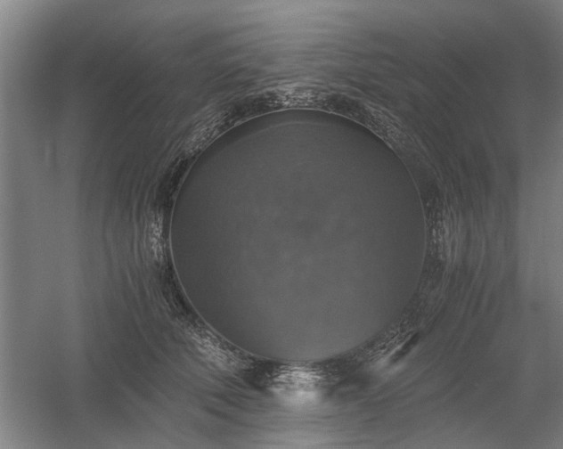 X0000058780610200509301116