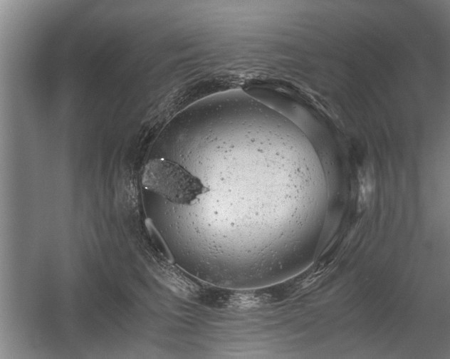 X0000058780613200509301116