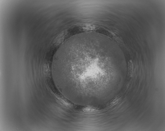 X0000058780614200509301116