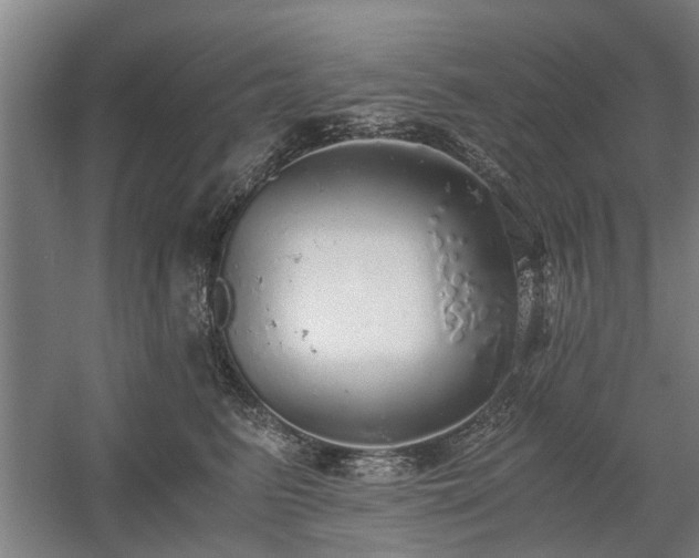 X0000058780615200509301116