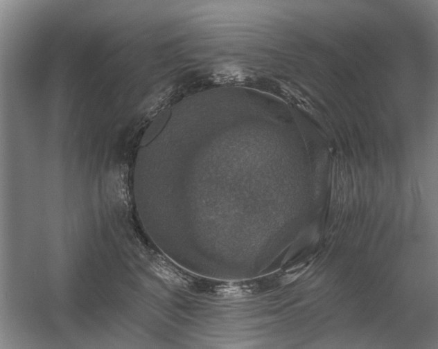 X0000058780616200509301116