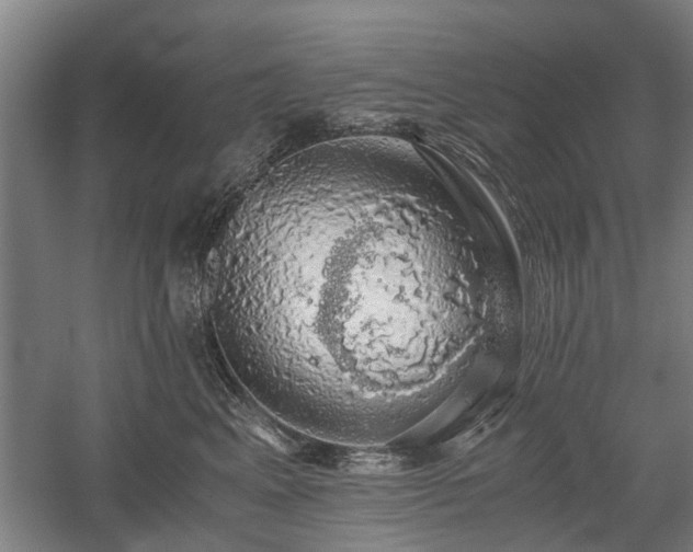 X0000058780617200509301116