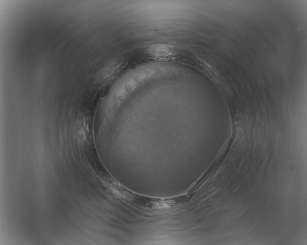 X0000058780618200509301116