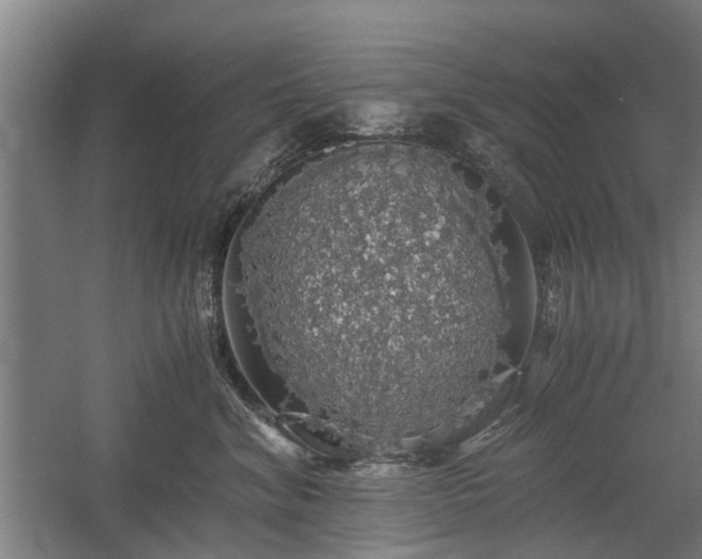 X0000058780620200509301116