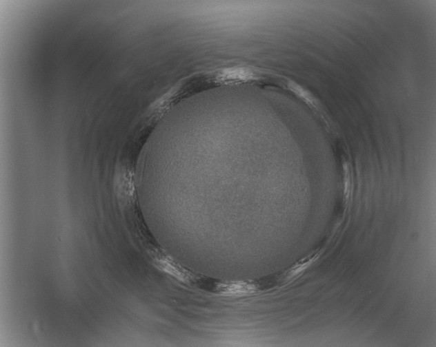 X0000058780621200509301116