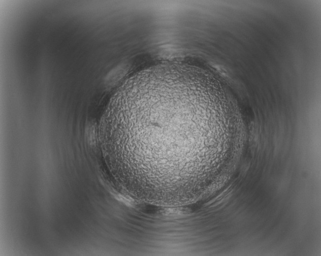 X0000058780623200509301116