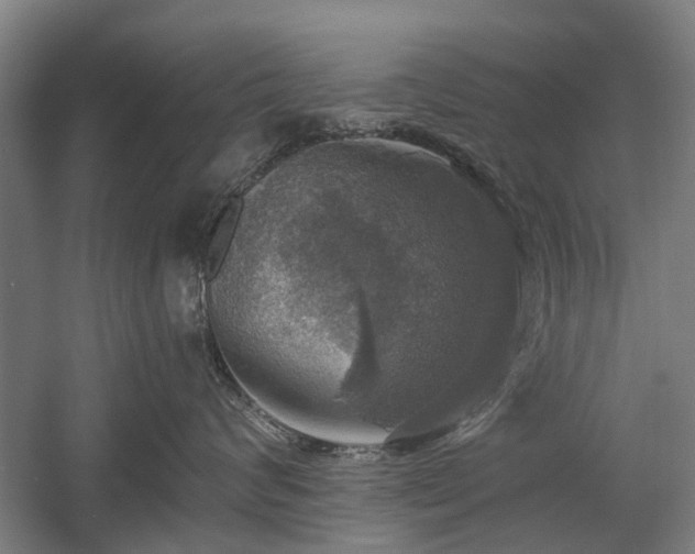 X0000058780624200509301116