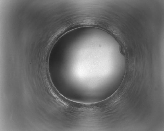 X0000058780625200509301115