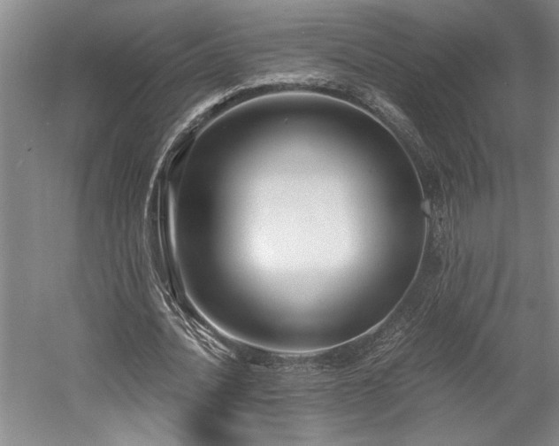 X0000058780628200509301115