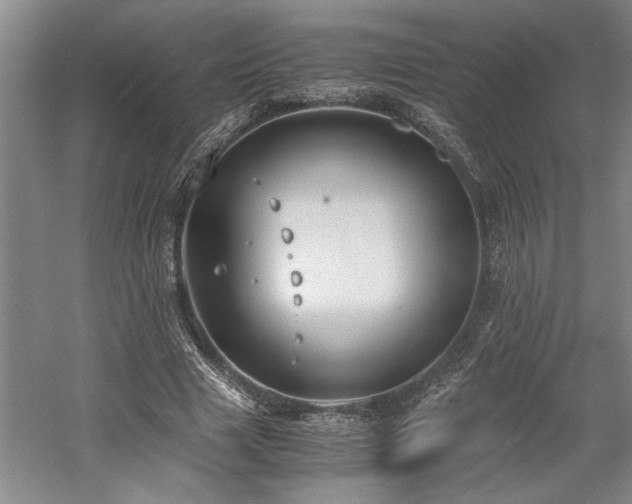 X0000058780633200509301116