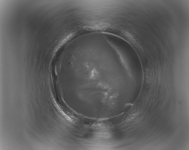 X0000058780634200509301116