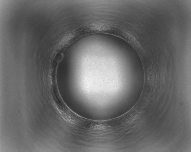 X0000058780635200509301116