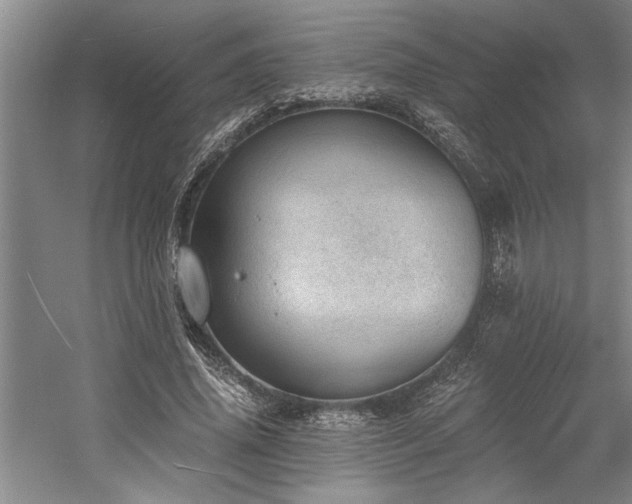 X0000058780636200509301116