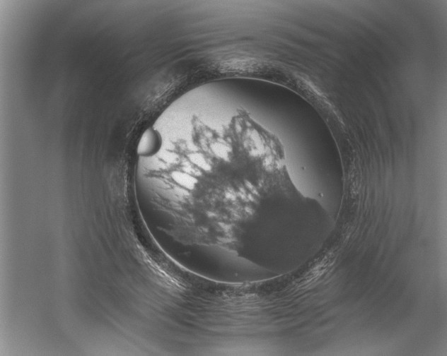 X0000058780637200509301116