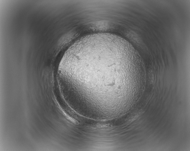 X0000058780638200509301116