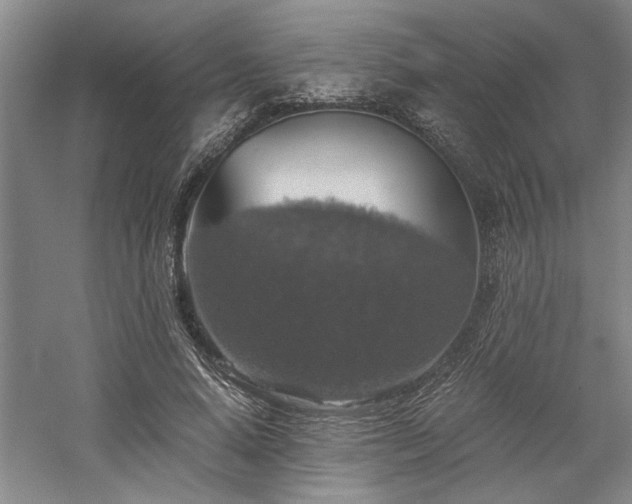 X0000058780640200509301116