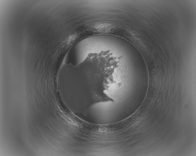 X0000058780641200509301116