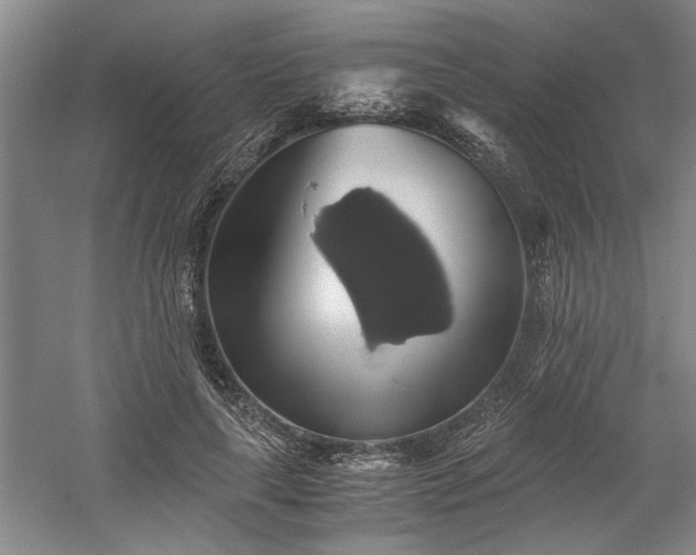 X0000058780643200509301116