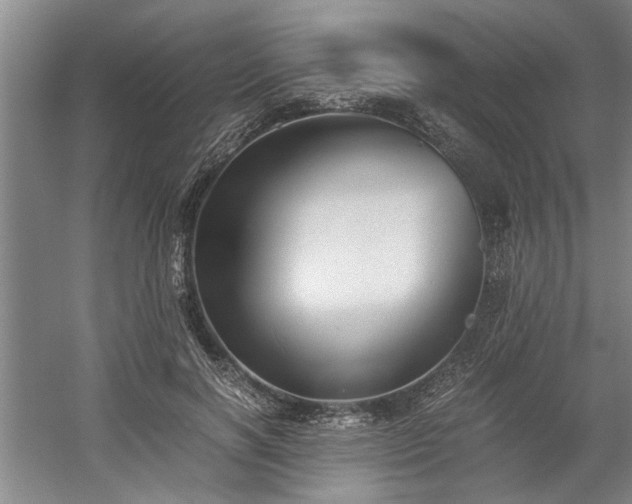 X0000058780646200509301116