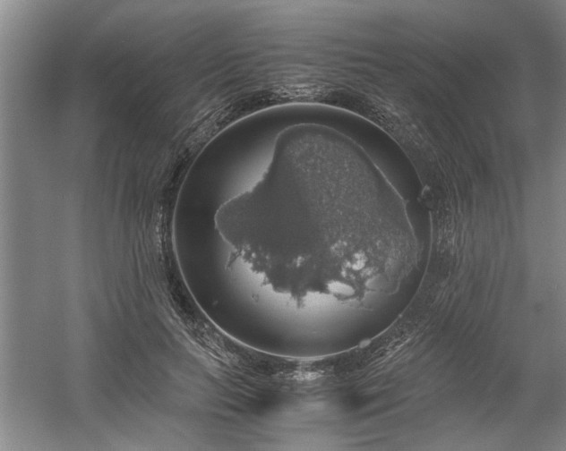 X0000058780647200509301116