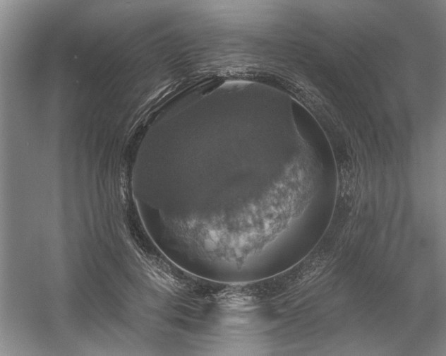 X0000058780648200509301116