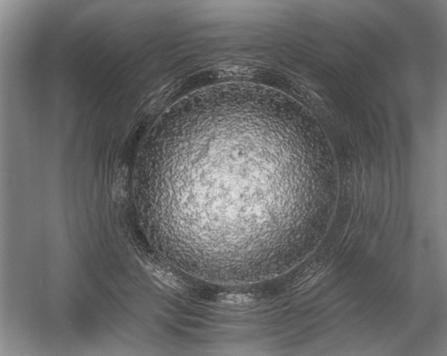 X0000058780649200509301116