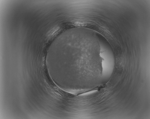 X0000058780652200509301116