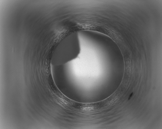 X0000058780653200509301116