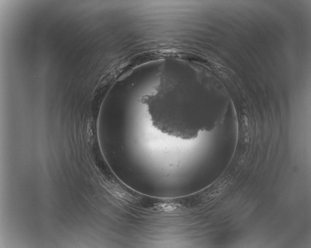 X0000058780654200509301116