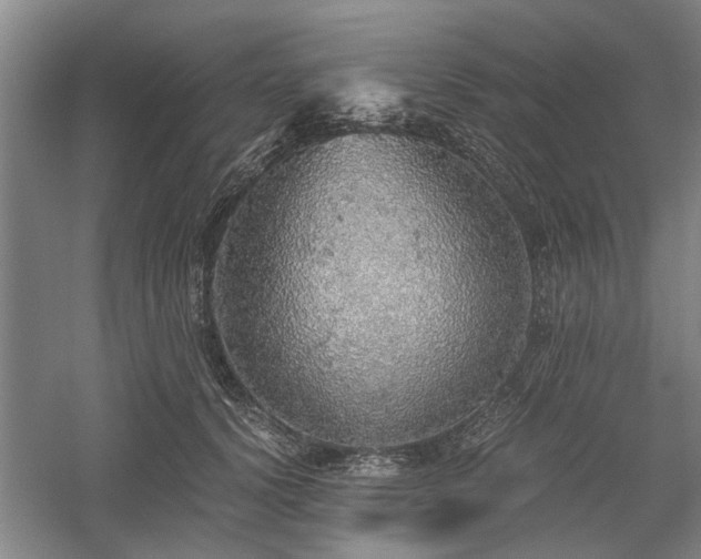 X0000058780656200509301116