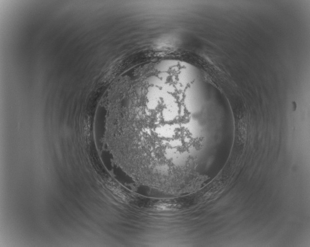 X0000058780657200509301116