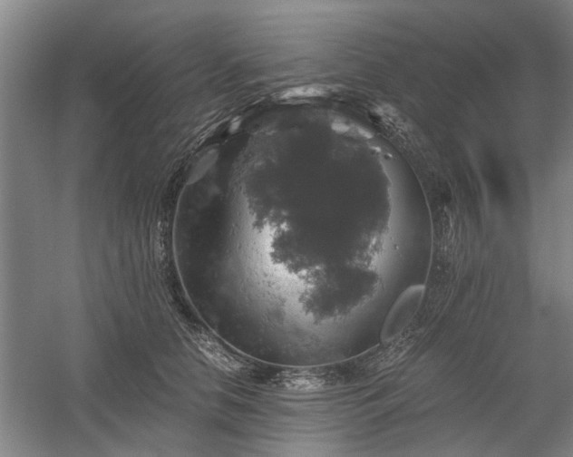 X0000058780658200509301116