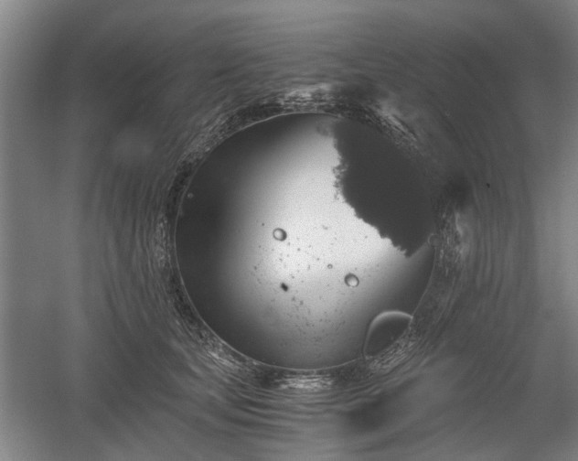 X0000058780659200509301116