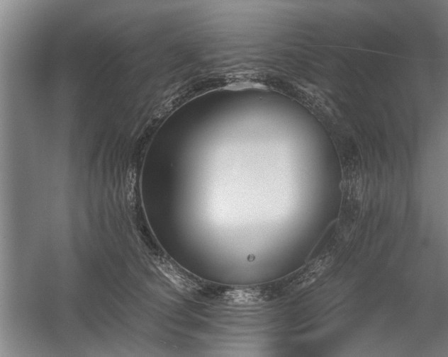 X0000058780660200509301116