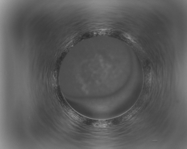 X0000058780661200509301116