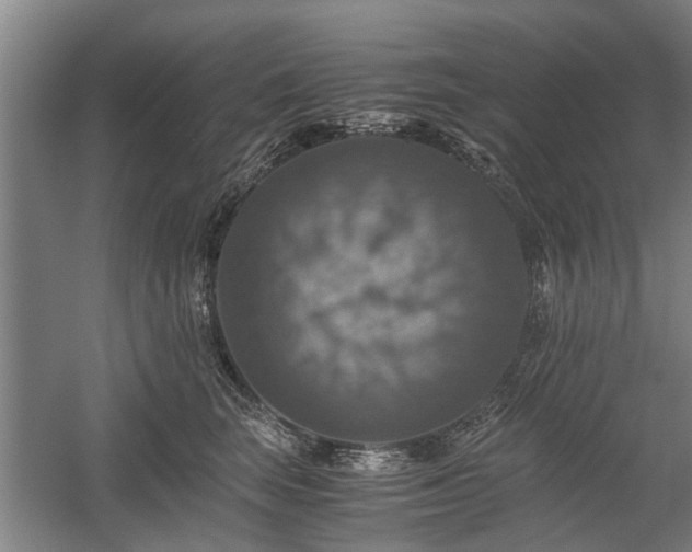 X0000058780663200509301116