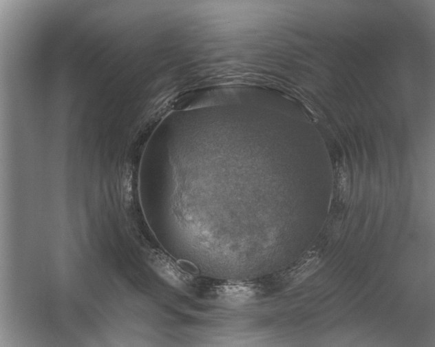 X0000058780668200509301116