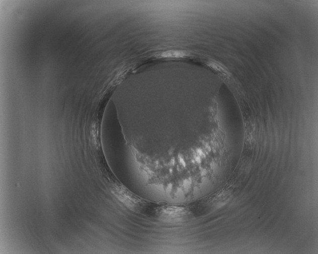 X0000058780669200509301116