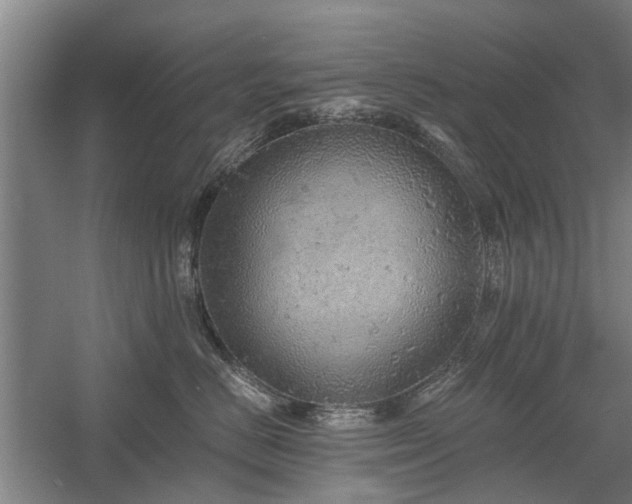 X0000058780670200509301116