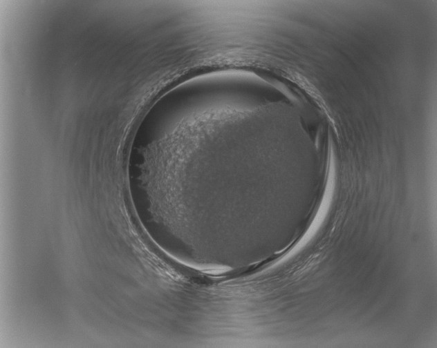 X0000058780673200509301115