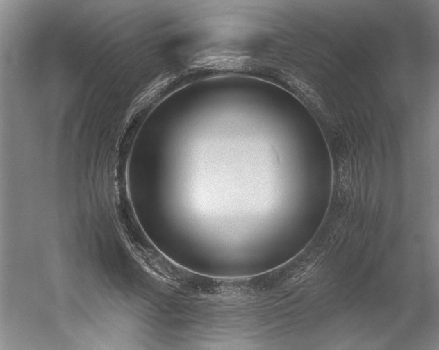 X0000058780682200509301115